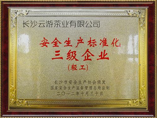 安全生產(chǎn)標(biāo)準(zhǔn)化三級(jí)企業(yè)